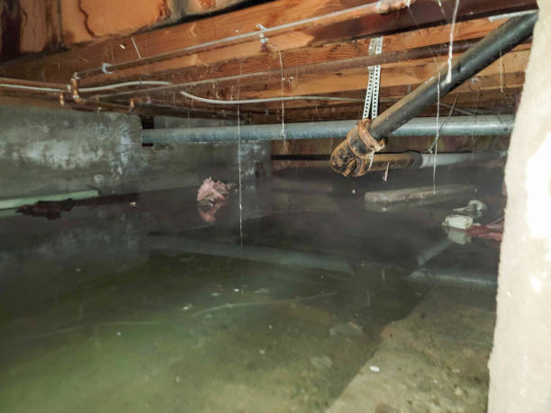 Best Water damage restoration near me  in Milledgeville, GA
