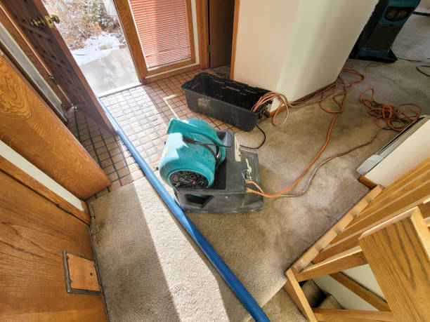 Best Ceiling water damage repair  in Milledgeville, GA