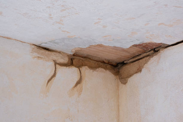 Best Flood restoration services  in Milledgeville, GA